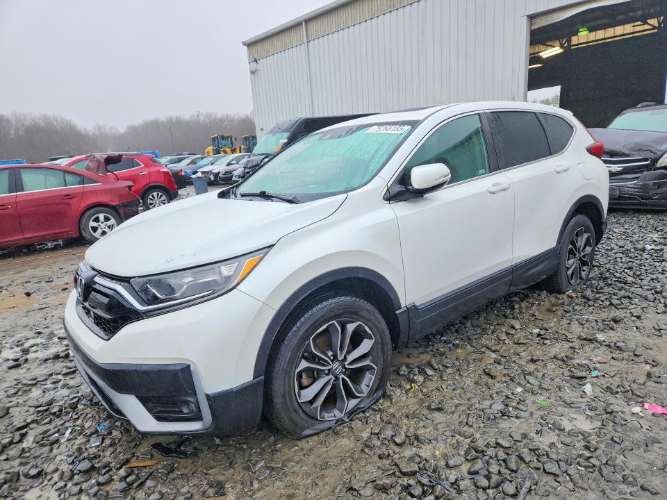 HONDA CR-V 2021 with VIN NJ2441E - Photo from auction