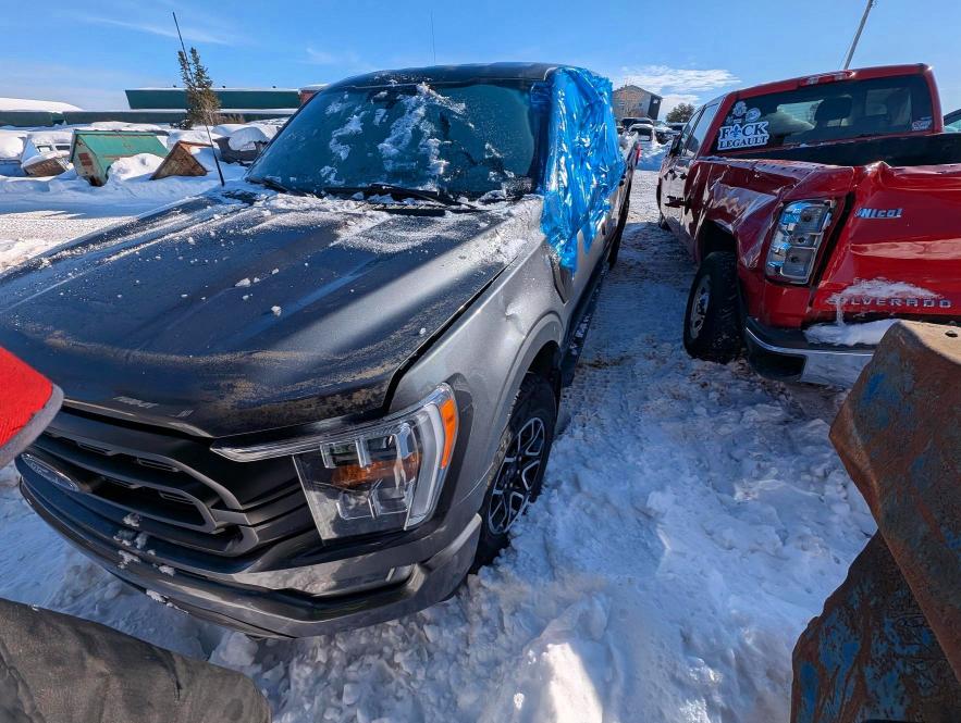 FORD F150 2023 with VIN 1FTFW1E51PKF80392 - Photo from auction