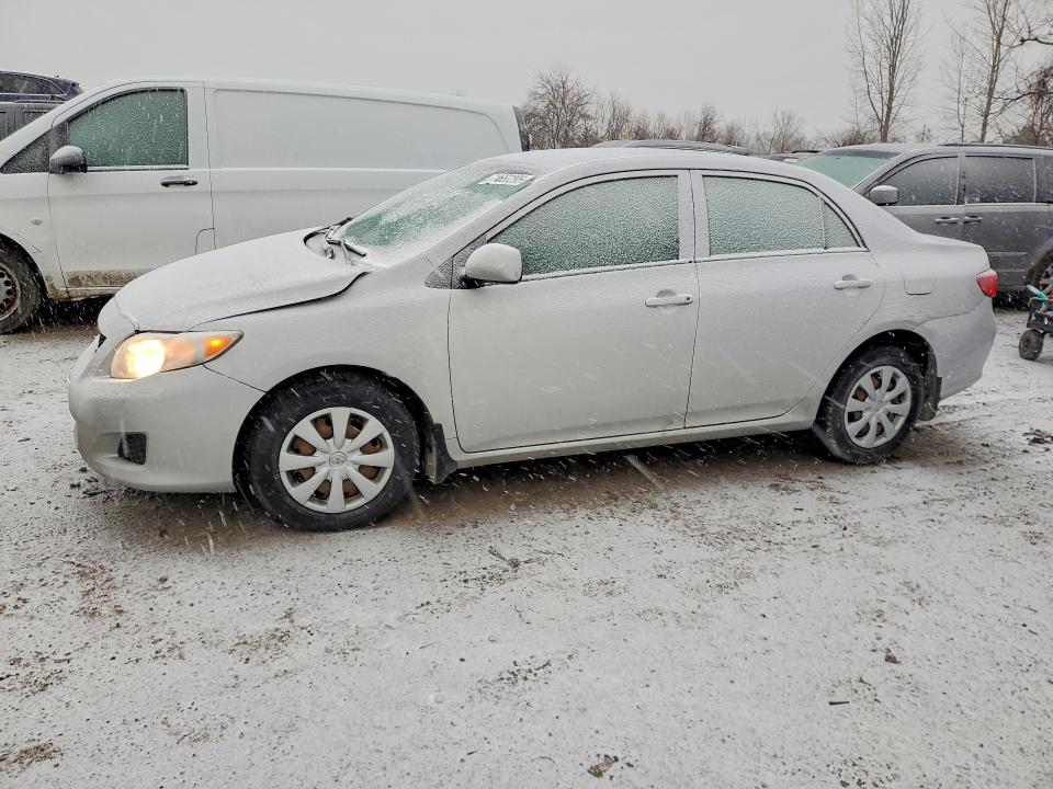 TOYOTA COROLLA 2010 with VIN 2T1BU4EE0AC342502 - Photo from auction