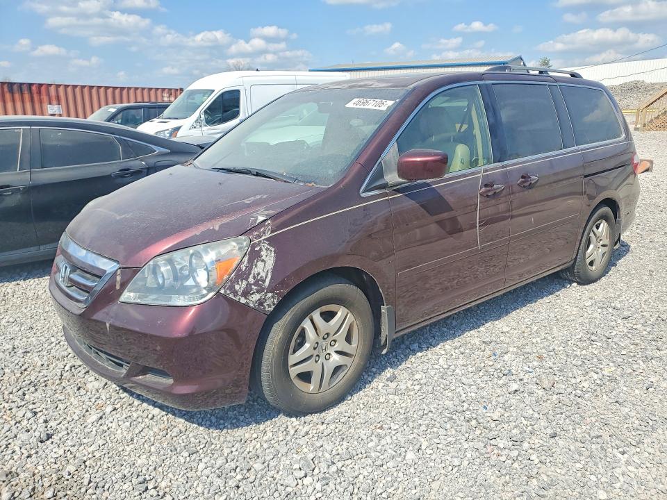 HONDA ODYSSEY 2007 with VIN 5FNRL38697B455885 - Photo from auction