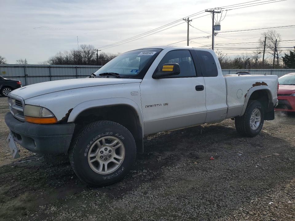 DODGE DAKOTA 2001 with VIN 1B7GG22N51S180676 - Photo from auction