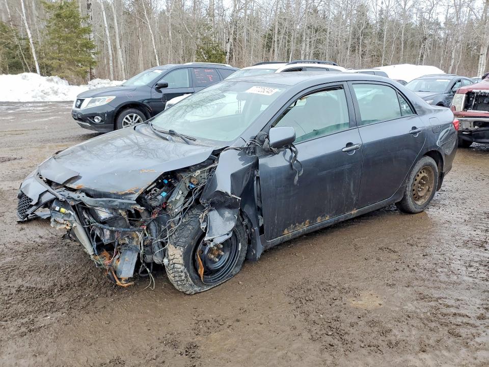 TOYOTA COROLLA 2009 with VIN 2T1BU40E59C101408 - Photo from auction