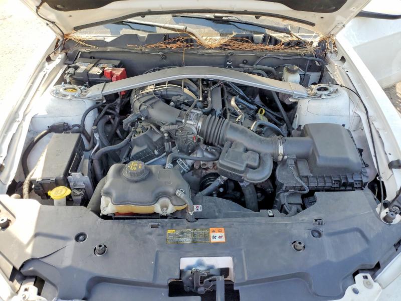 Photo 11 from auction – 2011 FORD MUSTANG with VIN 1ZVBP8EM2B5159040