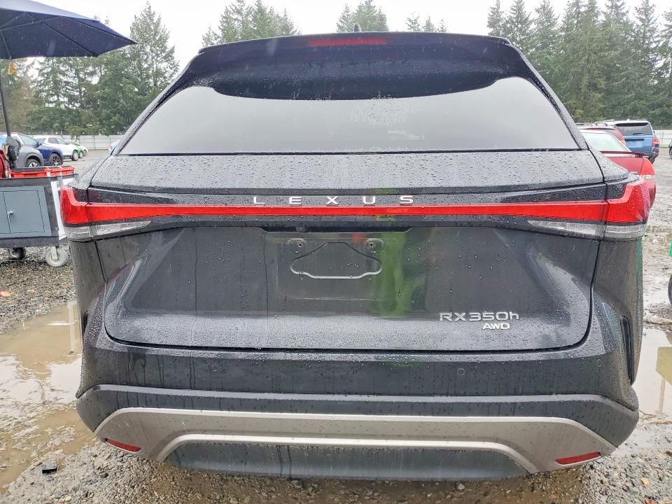 Photo 6 from auction – 2024 LEXUS RX 350H with VIN 2T2BBMCA4RC024623