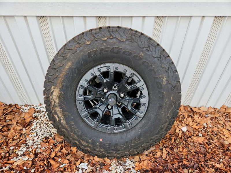 Photo 12 from auction – 2024 FORD BRONCO with VIN 1FMEE0RR3RLA48785