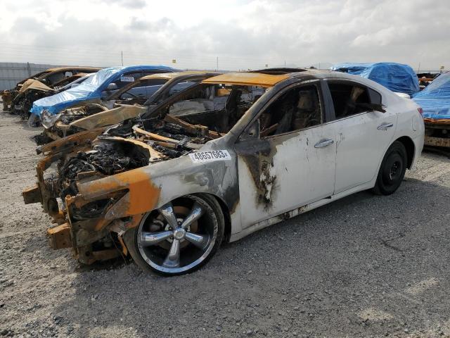 NISSAN MAXIMA S 2009 with VIN 1N4AA51E39C824827 - Photo from auction