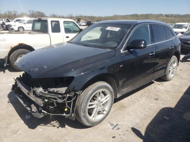 AUDI Q5 PREMIUM 2016 with VIN WA1D7AFP2GA021289 - Photo from auction