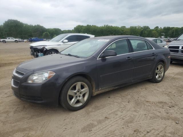CHEVROLET MALIBU 2010 with VIN 1G1ZB5EB5A4113812 - Photo from auction