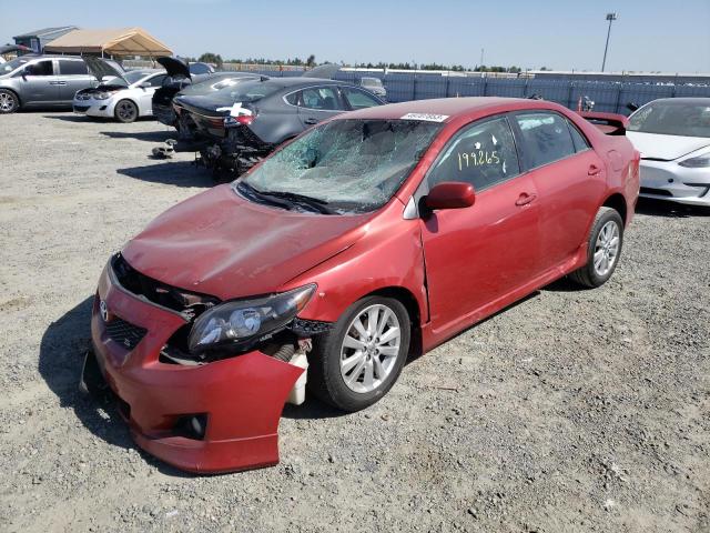 TOYOTA COROLLA BA 2009 with VIN 1NXBU40E59Z064388 - Photo from auction