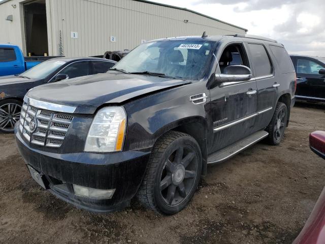 CADILLAC ESCALADE L 2010 with VIN 1GYUKBEF5AR213988 - Photo from auction