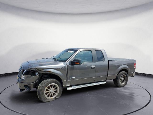 FORD F150 SUPER 2014 with VIN 1FTFX1CT3EFB31106 - Photo from auction