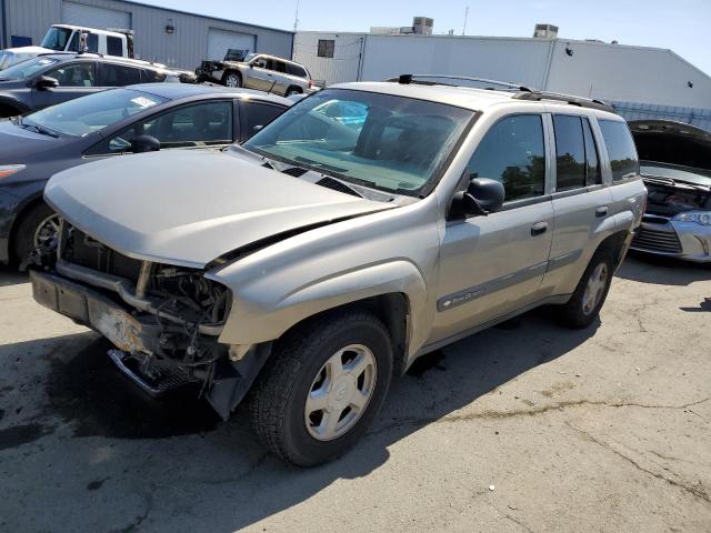 CHEVROLET TRAILBLAZE 2003 with VIN 1GNDS13S432169906 - Photo from auction