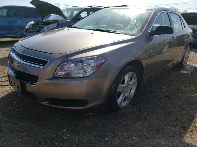 CHEVROLET MALIBU 2011 with VIN 1G1ZB5E16BF236256 - Photo from auction