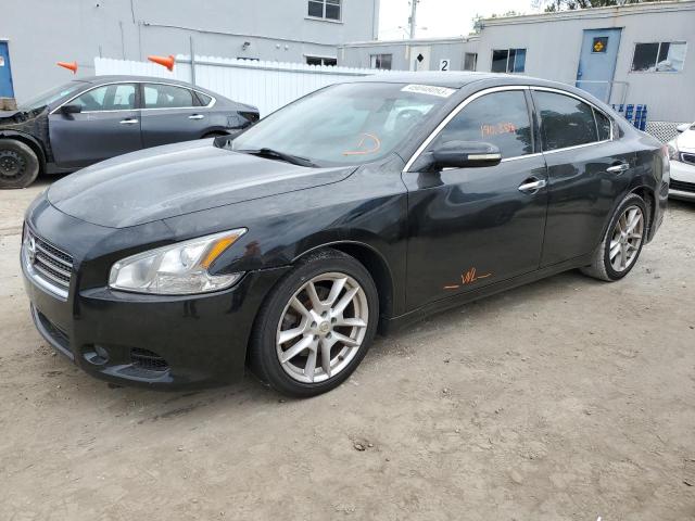 NISSAN MAXIMA S 2009 with VIN 1N4AA51E49C835979 - Photo from auction
