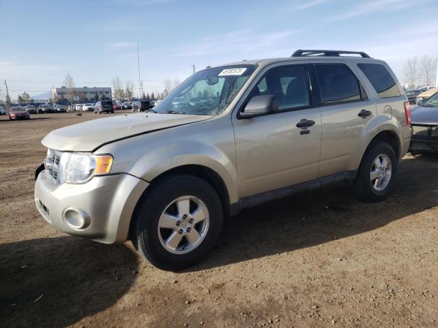 FORD ESCAPE 2011 with VIN 1FMCU0D77BKB07252 - Photo from auction