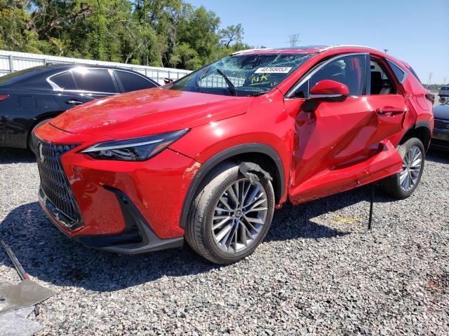 LEXUS NX 350 2023 with VIN 2T2GGCEZ4PC017009 - Photo from auction