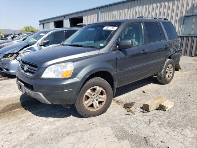 HONDA PILOT EXL 2005 with VIN 2HKYF185X5H542952 - Photo from auction