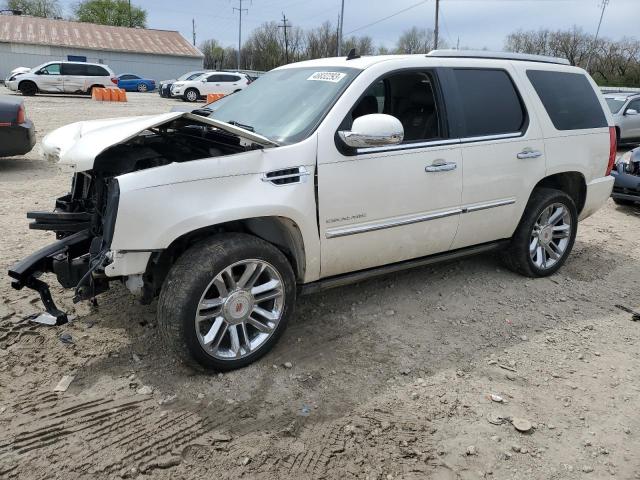 CADILLAC ESCALADE P 2011 with VIN 1GYS4DEFXBR309100 - Photo from auction