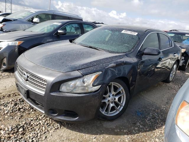 NISSAN MAXIMA S 2010 with VIN 1N4AA5AP3AC816216 - Photo from auction