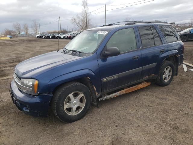 CHEVROLET TRAILBLAZE 2004 with VIN 1GNDT13S042199841 - Photo from auction