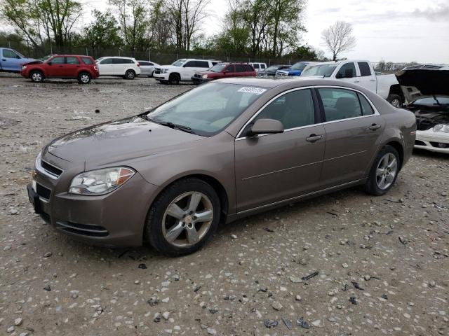 CHEVROLET MALIBU 2LT 2010 with VIN 1G1ZD5EB7AF150133 - Photo from auction