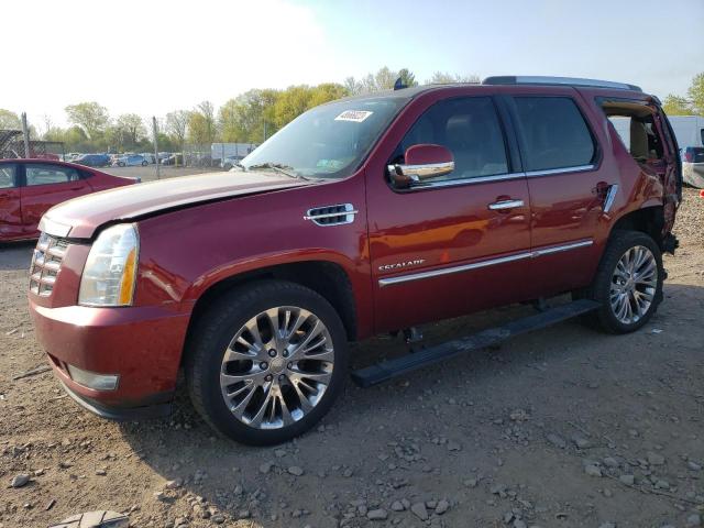 CADILLAC ESCALADE P 2011 with VIN 1GYS4CEF6BR131227 - Photo from auction