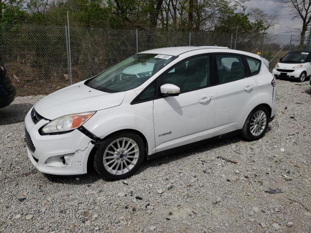 Photo 1 from auction – 2014 FORD C-MAX SE with VIN 1FADP5AU3EL518191