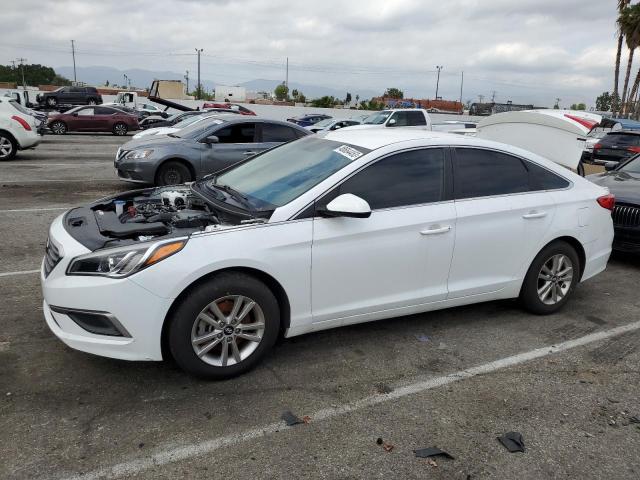 HYUNDAI SONATA SE 2017 with VIN 5NPE24AF7HH582249 - Photo from auction