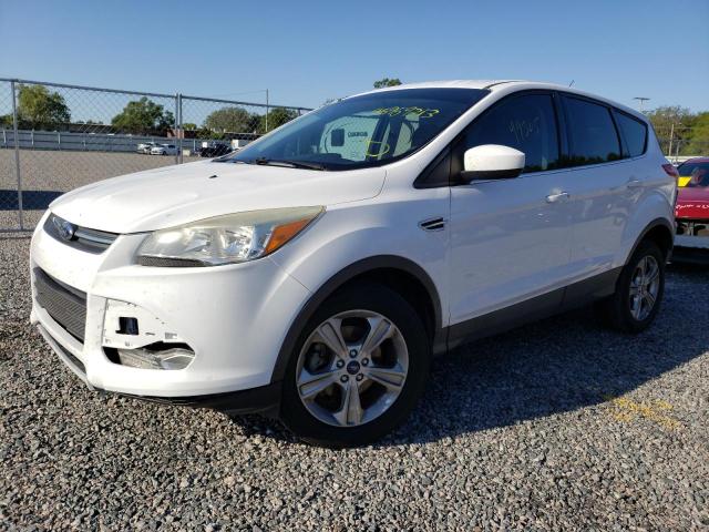 FORD ESCAPE SE 2014 with VIN 1FMCU0GX8EUC00320 - Photo from auction