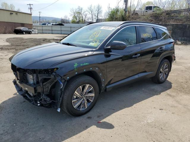 HYUNDAI TUCSON BLU 2022 with VIN KM8JBCA15NU030856 - Photo from auction