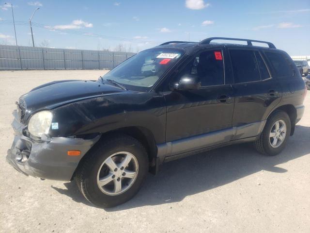 HYUNDAI SANTA FE 2004 with VIN KM8SB13D44U848688 - Photo from auction