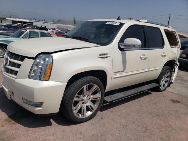 CADILLAC ESCALADE P 2013 with VIN 1GYS3CEF8DR287419 - Photo from auction