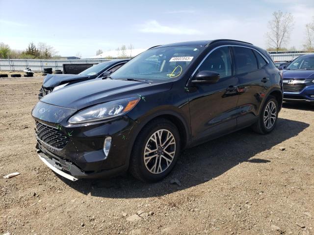 FORD ESCAPE SEL 2020 with VIN 1FMCU0H62LUA96880 - Photo from auction