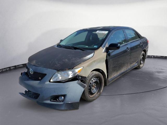 TOYOTA COROLLA BA 2010 with VIN 2T1BU4EE5AC433197 - Photo from auction