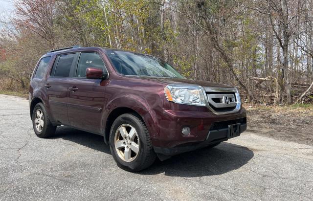 HONDA PILOT EXL 2011 with VIN 5FNYF4H69BB070747 - Photo from auction