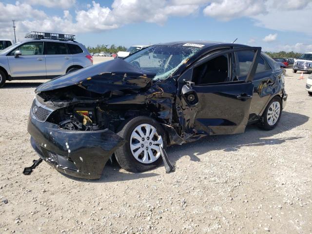 KIA FORTE EX 2013 with VIN KNAFU4A22D5703109 - Photo from auction