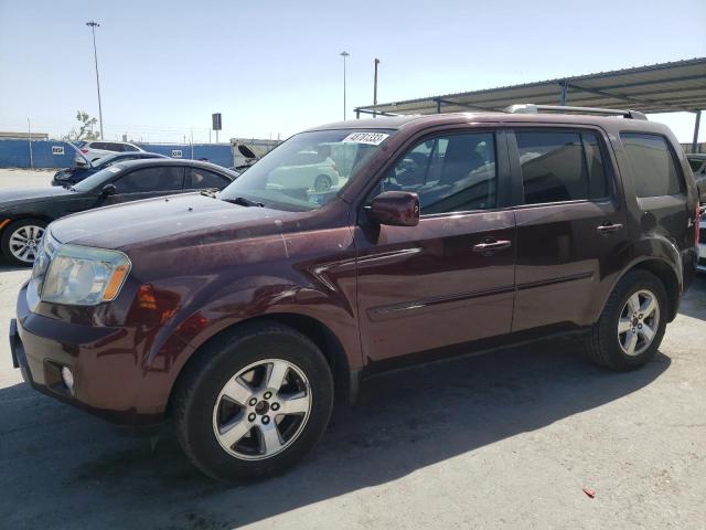 HONDA PILOT EXL 2009 with VIN 5FNYF48589B024313 - Photo from auction