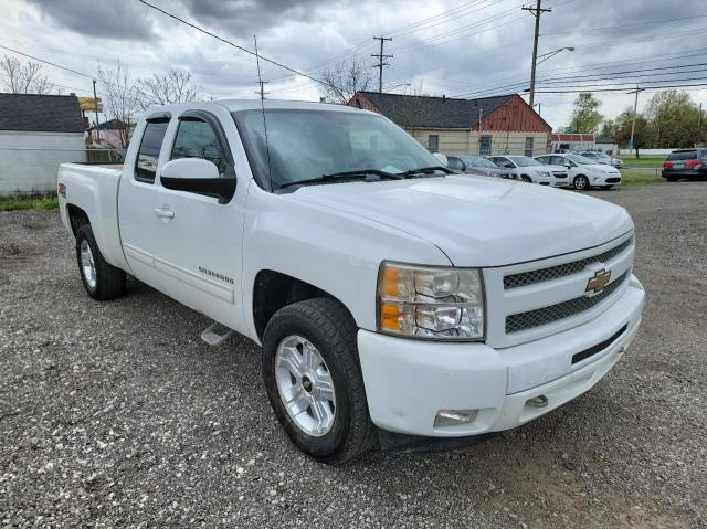 CHEVROLET SILVERADO 2009 with VIN 1GCEK29079Z279633 - Photo from auction