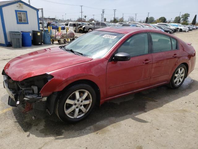 NISSAN MAXIMA SE 2008 with VIN 1N4BA41EX8C826832 - Photo from auction
