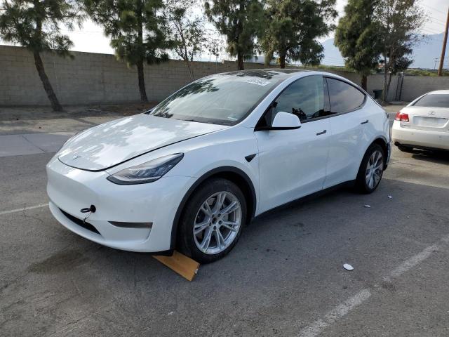 TESLA MODEL Y 2021 with VIN 5YJYGDEE6MF087436 - Photo from auction