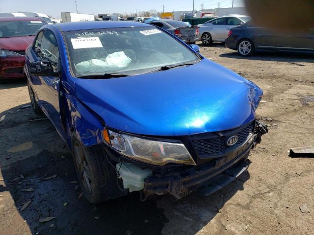 Photo 4 from auction – 2010 KIA FORTE EX with VIN KNAFU6A24A5168906