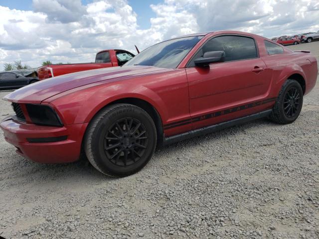 FORD MUSTANG 2007 with VIN 1ZVFT80N475310383 - Photo from auction