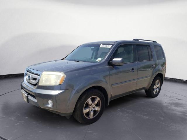 HONDA PILOT EX 2011 with VIN 5FNYF3H42BB029482 - Photo from auction
