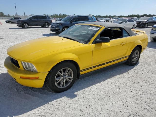 FORD MUSTANG 2005 with VIN 1ZVFT84N255231687 - Photo from auction