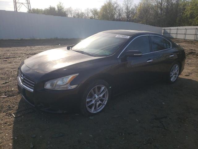 NISSAN MAXIMA S 2010 with VIN 1N4AA5AP1AC860747 - Photo from auction