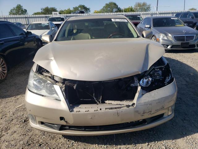 Photo 5 from auction – 2011 LEXUS ES 350 with VIN JTHBK1EG6B2459022