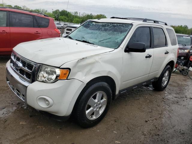 FORD ESCAPE XLT 2010 with VIN 1FMCU0D72AKC06608 - Photo from auction