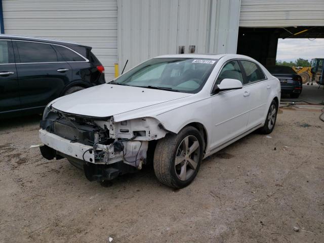Photo 1 from auction – 2011 CHEVROLET MALIBU 1LT with VIN 1G1ZC5E17BF342177