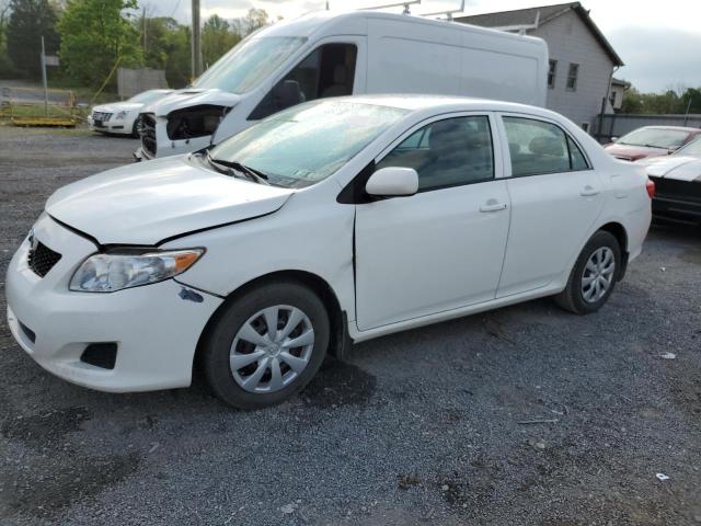 TOYOTA COROLLA BA 2010 with VIN 2T1BU4EE7AC255888 - Photo from auction