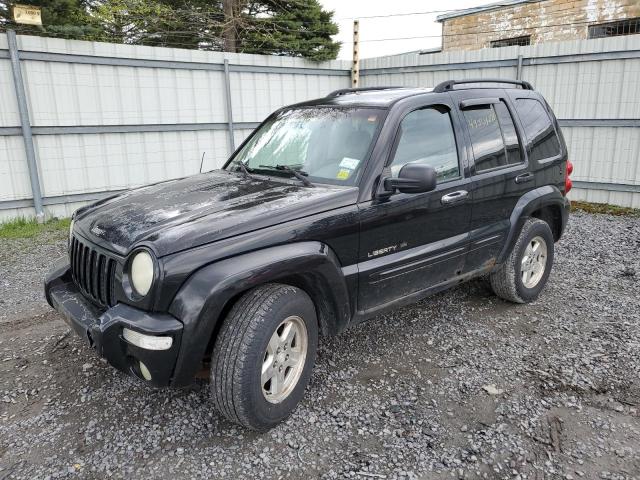 Photo 1 from auction – 2002 JEEP LIBERTY LI with VIN 1J4GL58K72W344413